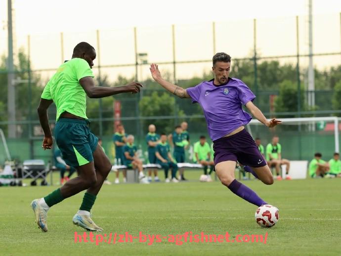 AG捕鱼王官网-法甲赛季趋势与球队未来发展规划深入研究