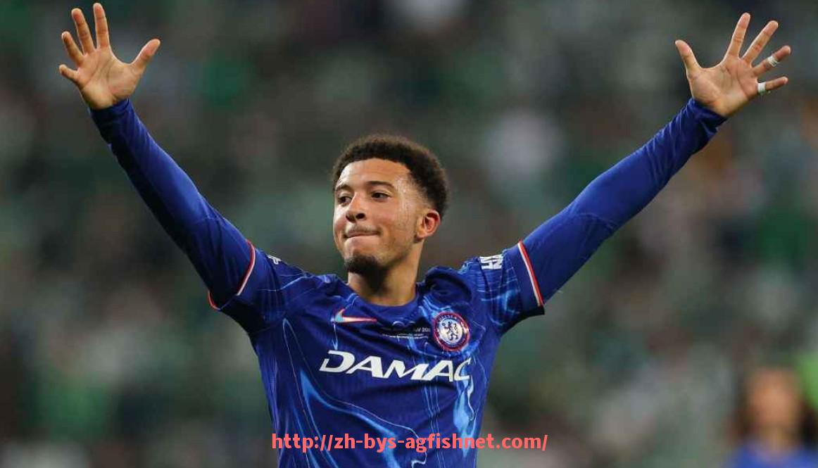 AG捕鱼王官网-意甲联赛现有球队数量及未来扩展计划