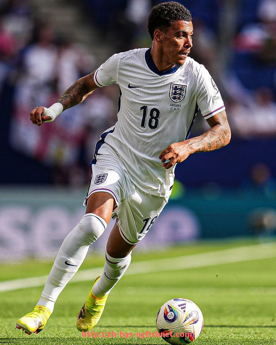 AG捕鱼王官网-2024年NBA联盟伤病名单对季后赛形势造成哪些变量 AG捕鱼王官网-2024年NBA联盟伤病名单对季后赛形势造成哪些变量